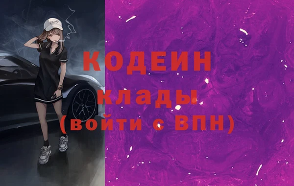 МДПВ Снежинск