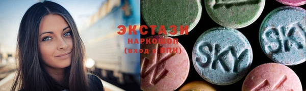 индика Богородицк