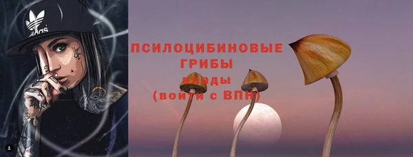 ешки Мегион