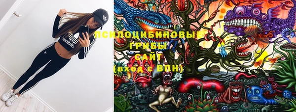 бошки Снежногорск