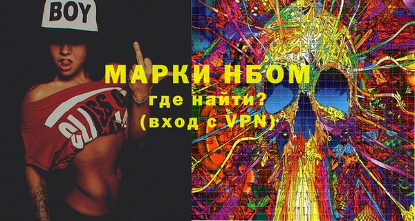 МДПВ Снежинск
