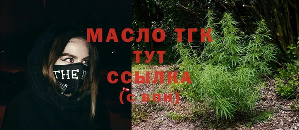 бошки Снежногорск