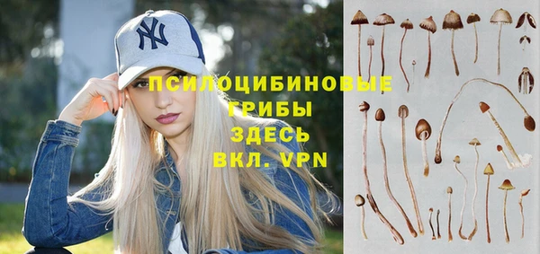 Альфа ПВП Семилуки