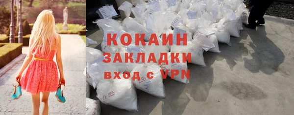 МДПВ Снежинск