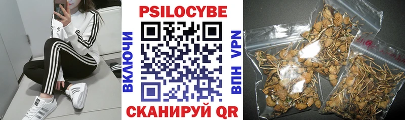 Галлюциногенные грибы Cubensis  Тихвин 