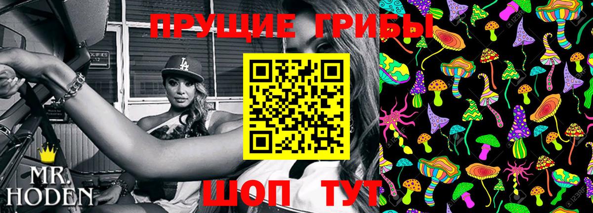 Галлюциногенные грибы GOLDEN TEACHER  Вход с VPN  Тихвин 